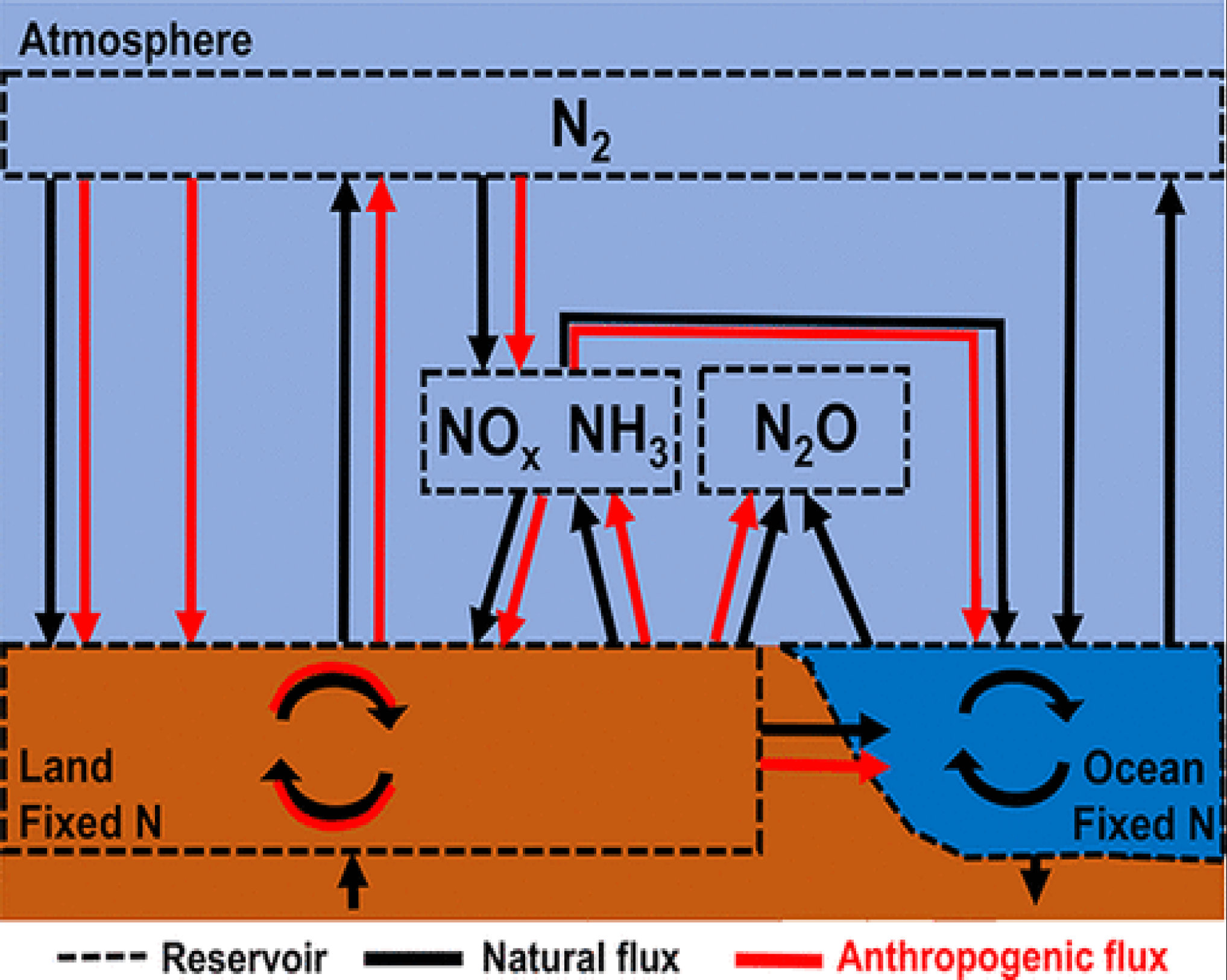 Isotopes de l’azote 15 à utiliser dans le cycle de l’azote