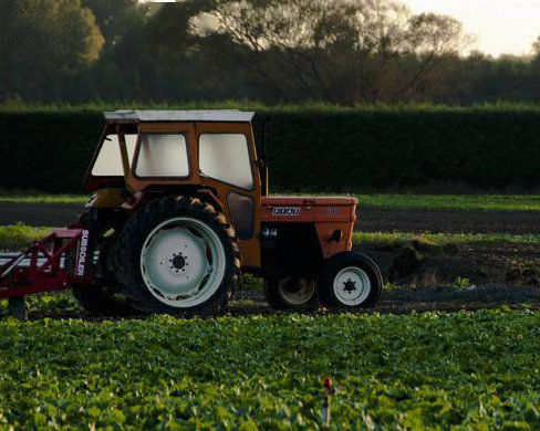 Isótopos de nitrógeno-15 para la agricultura